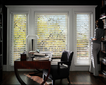 BLIND ALLEY - HUNTER DOUGLAS EVERWOOD ALTERNATIVE WOOD BLINDS