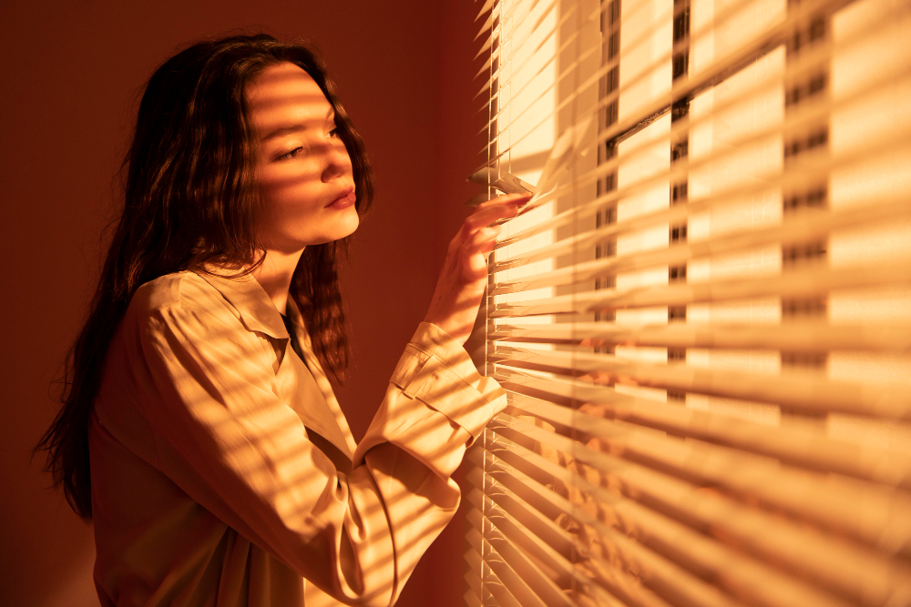 Heat Blocking Window Shades