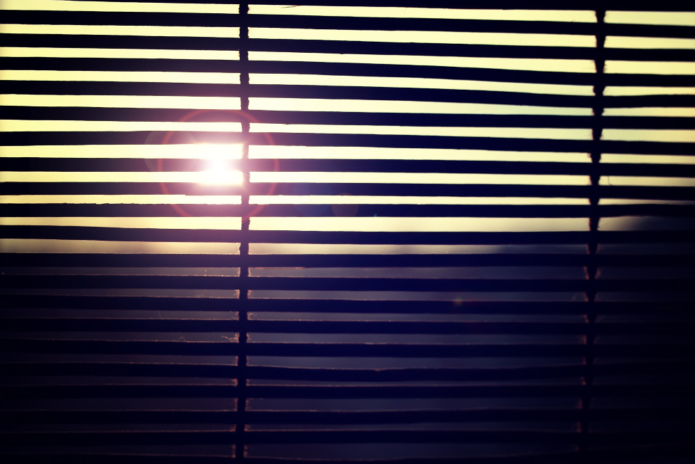 Blackout Shades vs Light Filtering Shades