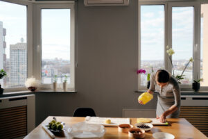 Best Dining Room Window Treatments