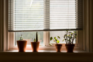 Plantation Shutters vs Curtains